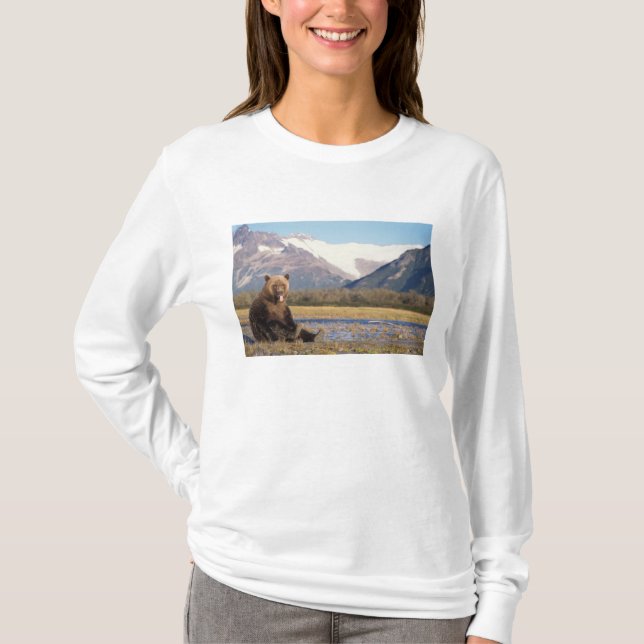 Camiseta urso pardo, Ursus arctos, urso cinzento, Ursus (Frente)