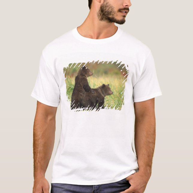 Camiseta urso pardo, Ursus arctos, urso cinzento, Ursus 2 (Frente)