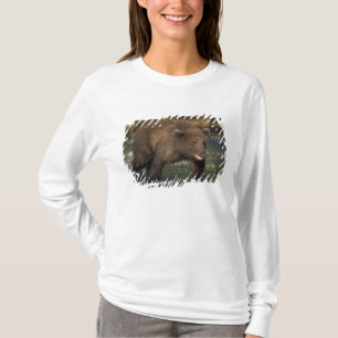 Camiseta urso pardo, Ursus arctos, urso cinzento, Ursus 6