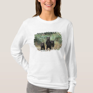 Camiseta urso pardo, Ursus arctos, urso cinzento, Ursus 7