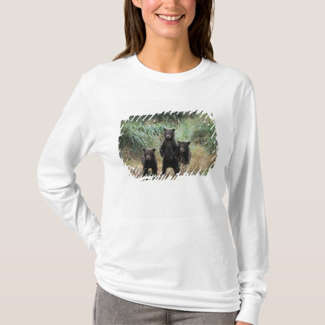Camiseta urso pardo, Ursus arctos, urso cinzento, Ursus 7 (Frente)