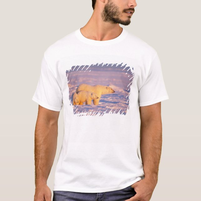 Camiseta Urso polar com filhotes de primavera no congelado (Frente)