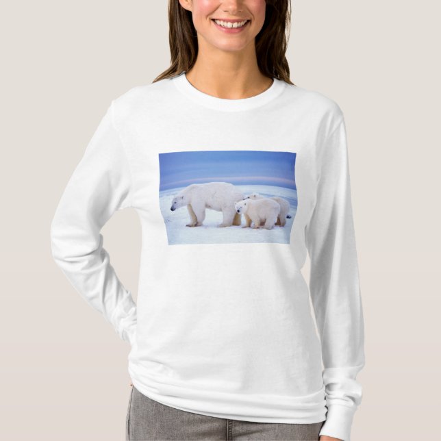 Camiseta Urso-polar com porcas (Frente)