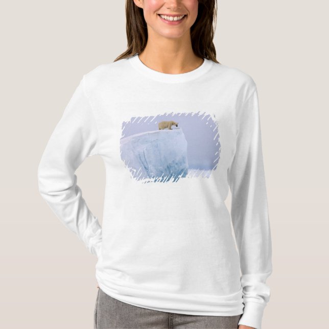 Camiseta urso polar, Ursus maritimus (Frente)