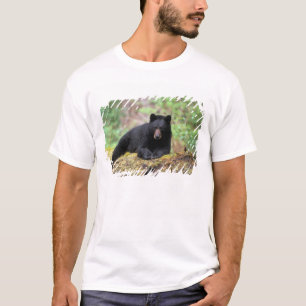 Camiseta Urso preto em um tronco de crescimento antigo na