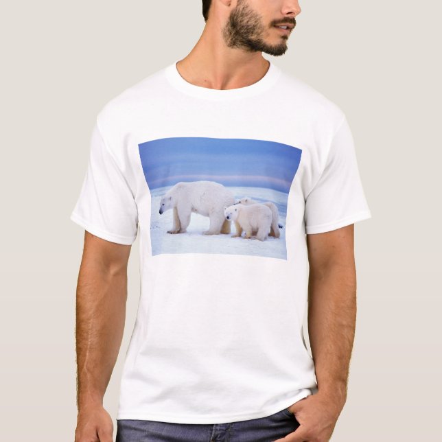 Camiseta Ursoa-polar com filhotes (Frente)