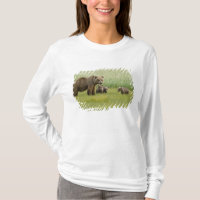 Ursoaia Urso Marrom do Alasca e três filhotes, Urs