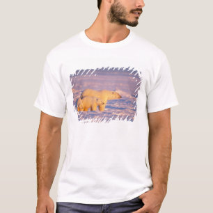 Camiseta Ursoaica com filhotes de primavera no congelado