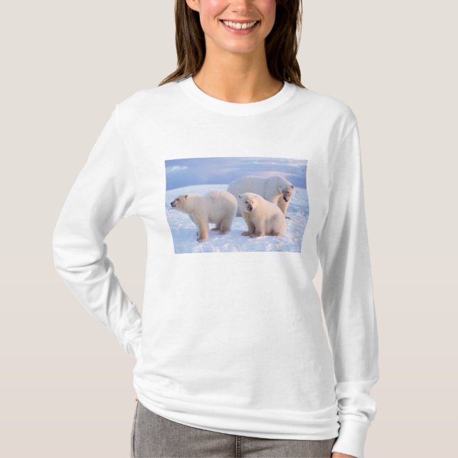 Camiseta Ursoaica com filhotes no gelo costeiro (Frente)