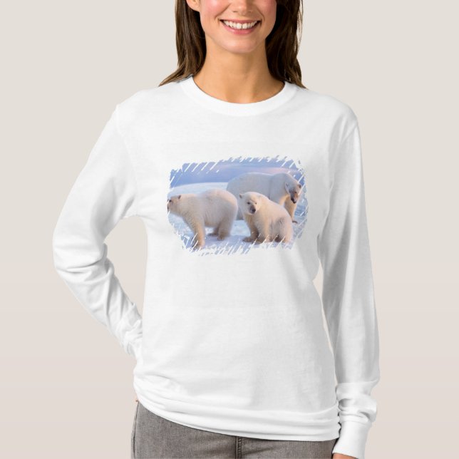 Camiseta Ursoaica com filhotes no gelo da costa (Frente)
