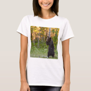 Camiseta Ursus arctos (Ursus arctos), árvore de abraço