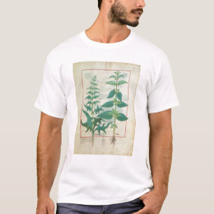 Camiseta Urticaceae
