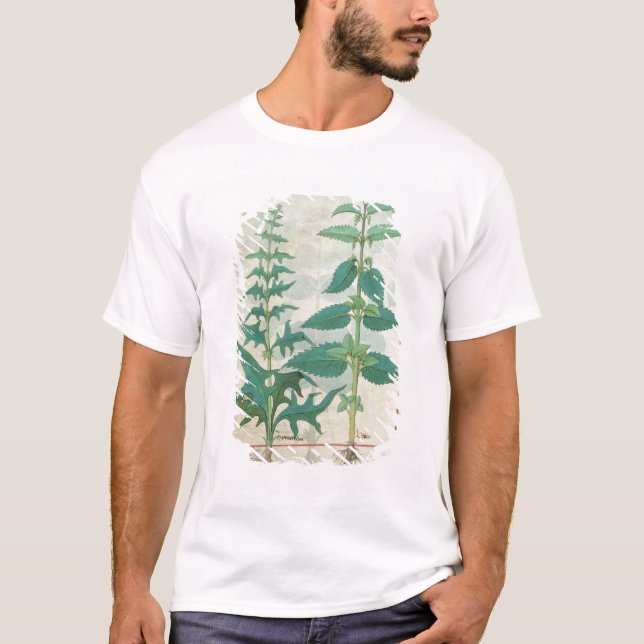 Camiseta Urticaceae (Frente)