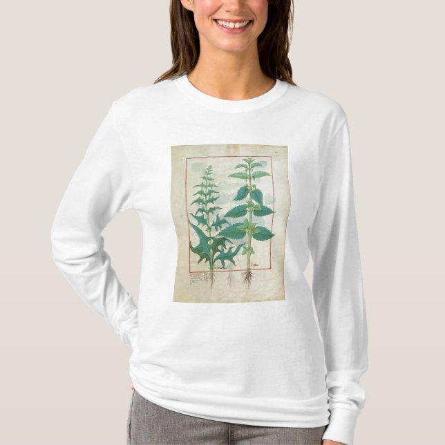 Camiseta Urticaceae (Frente)