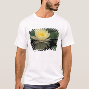 Camiseta USA, Kentucky, Louisville Nenúfar doméstico,