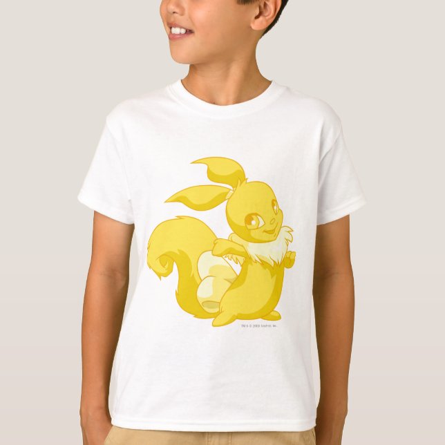 Camiseta Usul Gold (Frente)