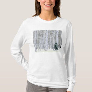 Camiseta UTAH. EUA. Aspen (Populus tremuloides) & Douglas