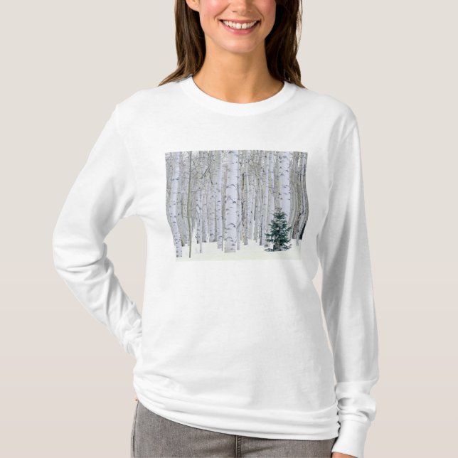 Camiseta UTAH. EUA. Aspen (Populus tremuloides) & Douglas (Frente)