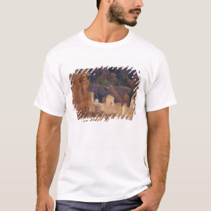 Camiseta Utah, Parque Nacional Bryce Canyon. Hoodoos,