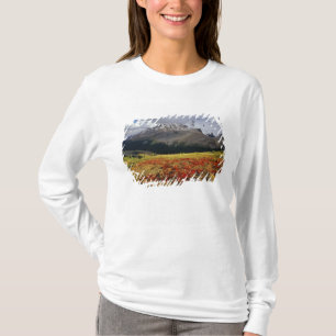 Camiseta Uva-ursina no início do outono Pico Athabasca no