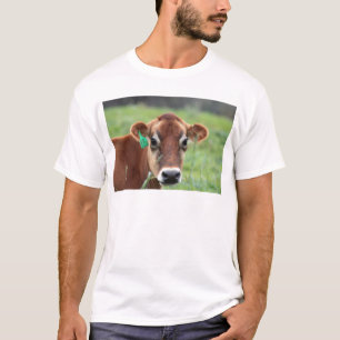 Camiseta Vaca do jérsei