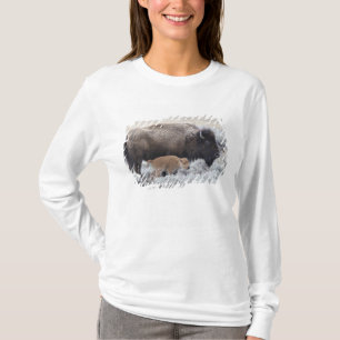 Camiseta Vaca e Vitelo Bison, Yellowstone