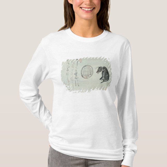 Camiseta Vaca, janela oval e haicais (Frente)