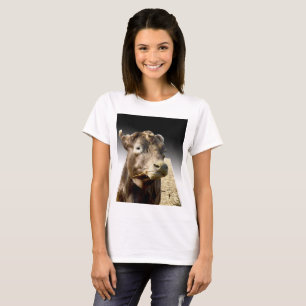 Camiseta Vaca Marrom Mastigando Feno,