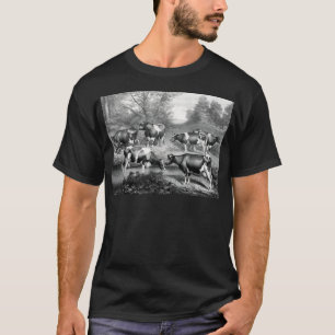 Camiseta vacas da raça Holstein