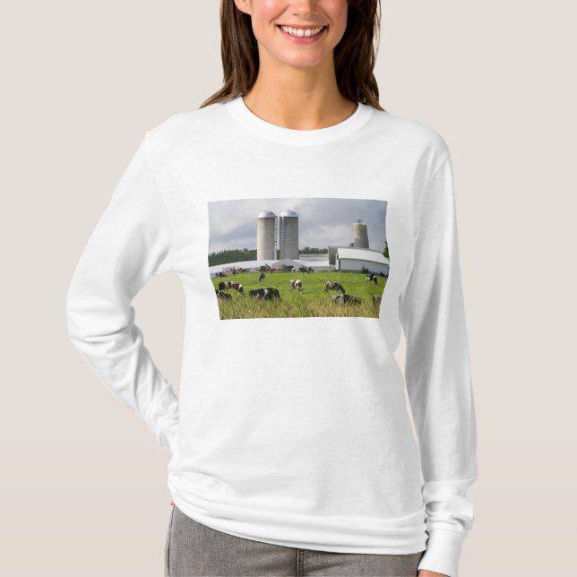 Camiseta Vacas e fazenda de leiteria perto do Condado de (Frente)