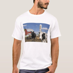 Camiseta Vacas em frente a um celeiro vermelho e silo em um