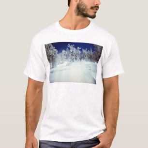 Camiseta Vale celestial, EUA