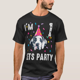 Camiseta Vamos Festejar primeiro aniversario Com Grande Dan