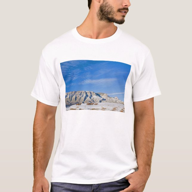 Camiseta Vaqueiros com Rebanho de Cavalos (Frente)