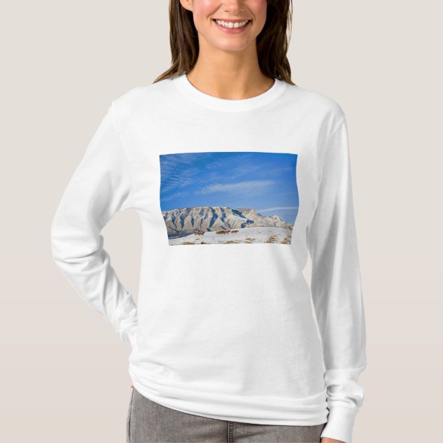 Camiseta Vaqueiros com Rebanho de Cavalos (Frente)