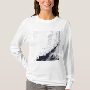 Camiseta Vários tipos de gelo marinho