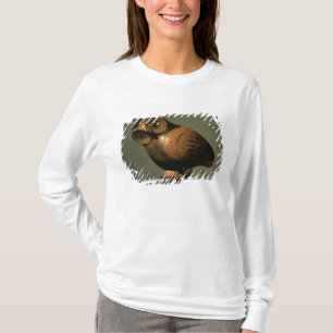 Camiseta Vaso sob a forma de uma coruja, Proto-Corinthian