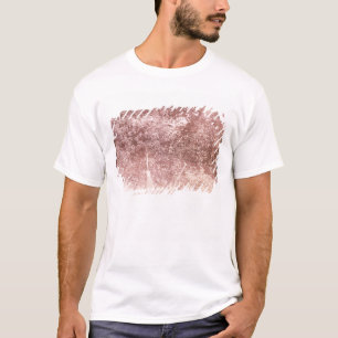 Camiseta Vassoura e pá, 1842 (foto de b/w)
