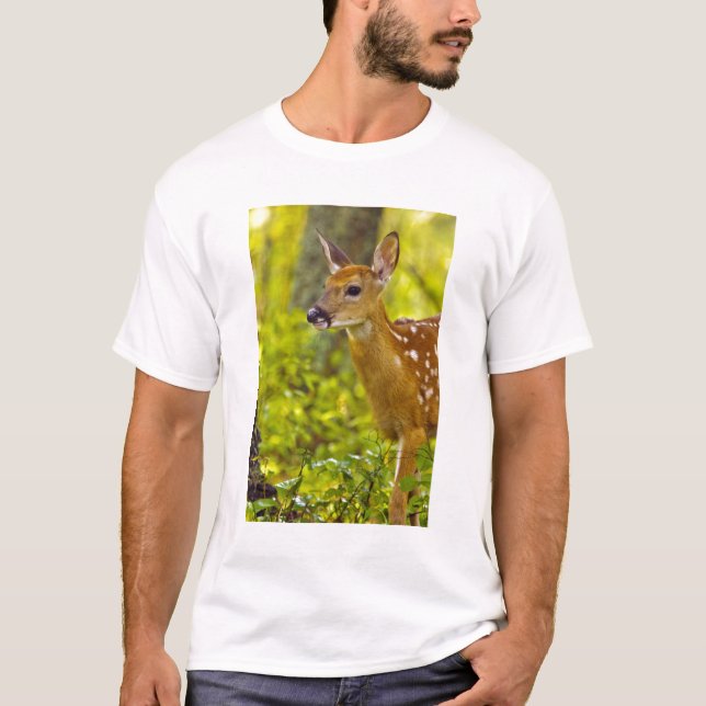 Camiseta Veado-branco de Whitefish, Montana, EUA (Frente)