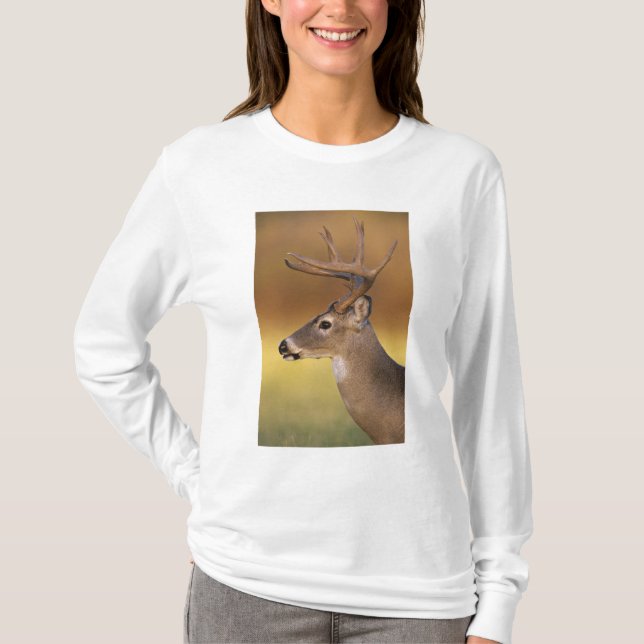 Camiseta Veado branco, Odocoileus virginianus, (Frente)