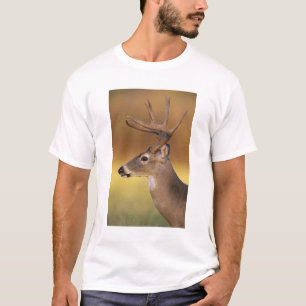 Camiseta Veado-mateiro, Odocoileus virginianus,