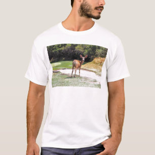 Camiseta veado olhando para a câmera natureza