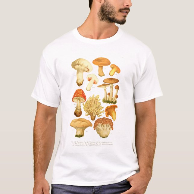 Camiseta Vegan Vintage Mushroom (Frente)