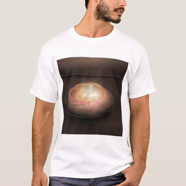 Camiseta Vela de fusão (Frente)
