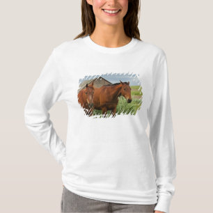 Camiseta Vendo cavalos em um campo no Palouse 3