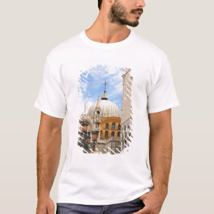 Camiseta Veneza, Veneto, Itália - Pássaros estão empoleirad