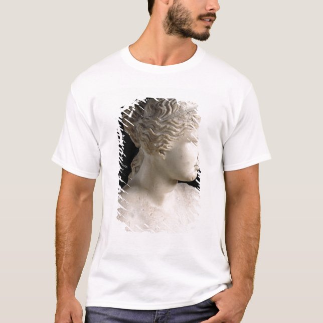 Camiseta Vênus de Milo (Frente)