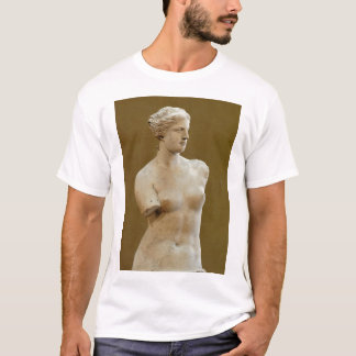 Camiseta Vênus de Milo