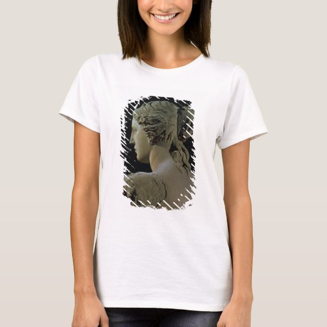 Camiseta Vênus de Milo, detalhe da parte de trás da cabeça, (Frente)