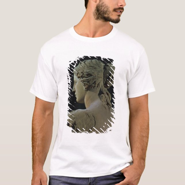 Camiseta Vênus de Milo, detalhe da parte traseira da (Frente)
